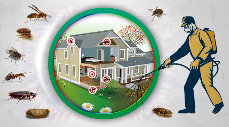 Pazaryolu Böcek İlaçlama